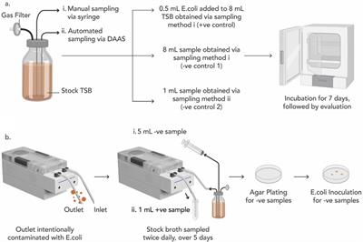 Device for automated aseptic sampling: Automated sampling solution for future cell and gene manufacturing